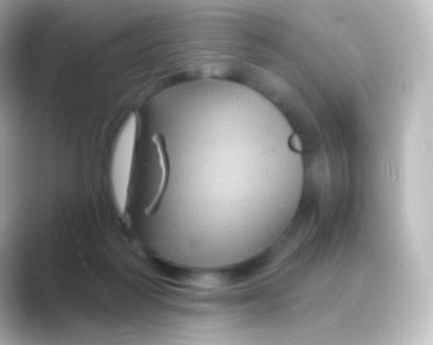 X0000088690218200706211932