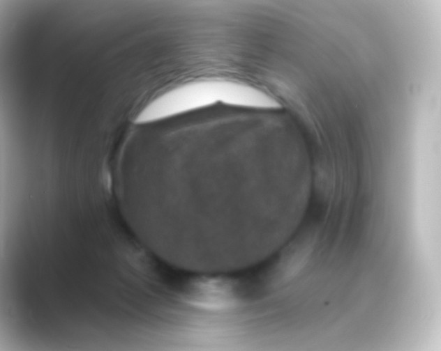 X0000088690221200706211932