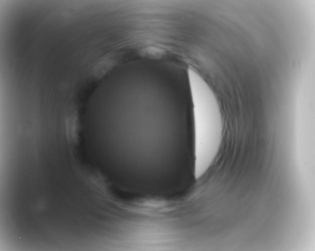 X0000088690223200706211932