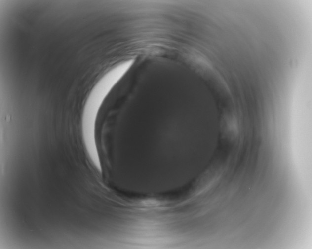 X0000088690224200706211932