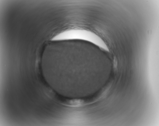X0000088690225200706211932