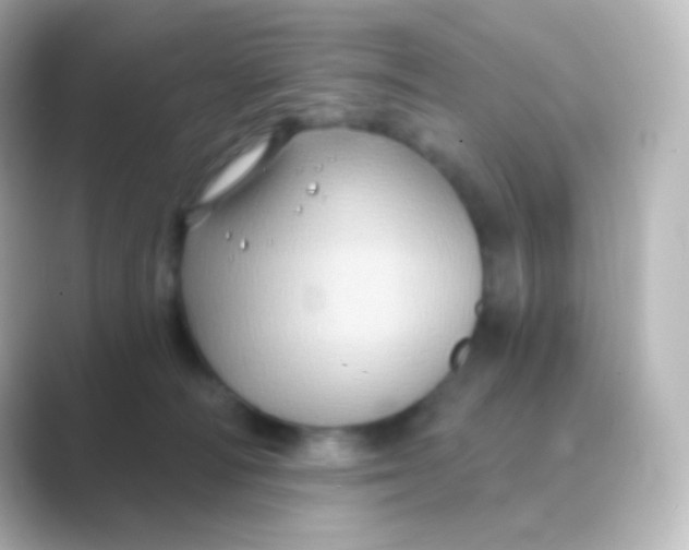 X0000088690226200706211932