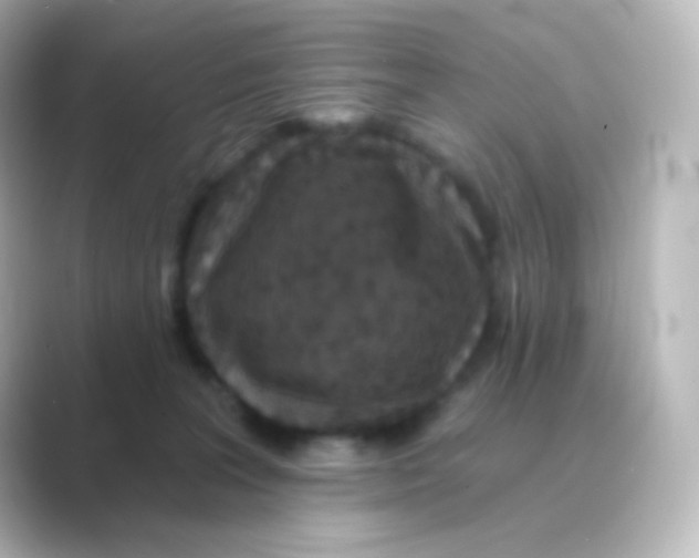 X0000088690227200706211932