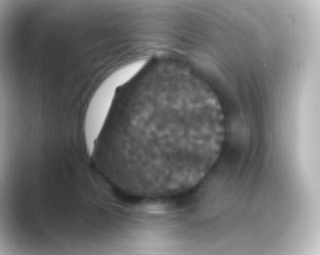X0000088690228200706211932