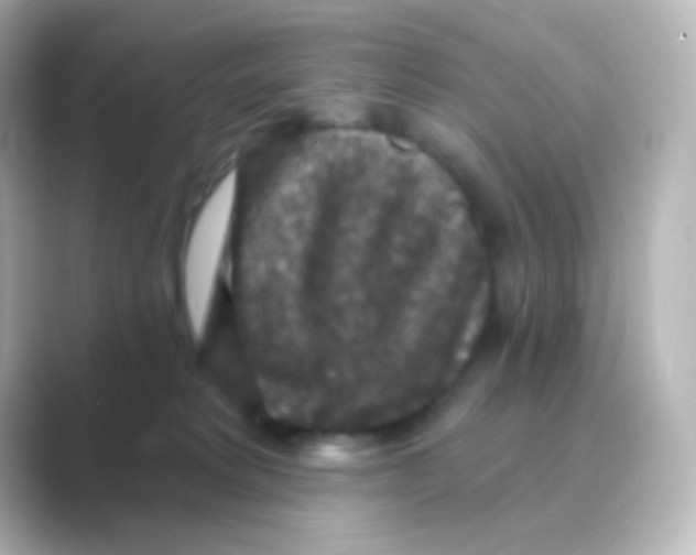 X0000088690229200706211932