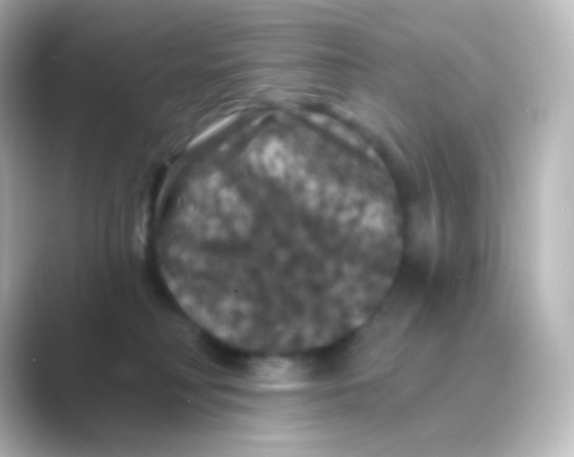 X0000088690230200706211932