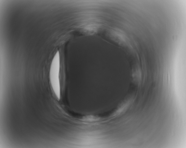 X0000088690231200706211932