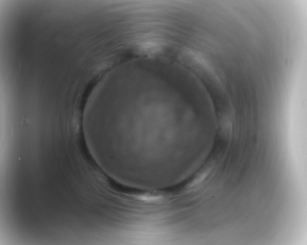 X0000088690232200706211932