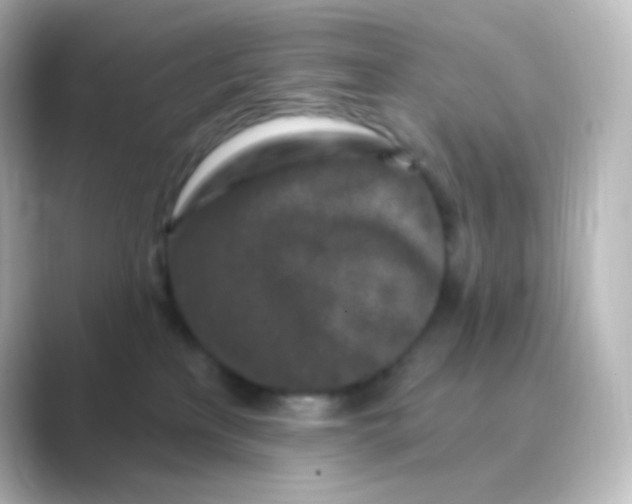 X0000088690233200706211932