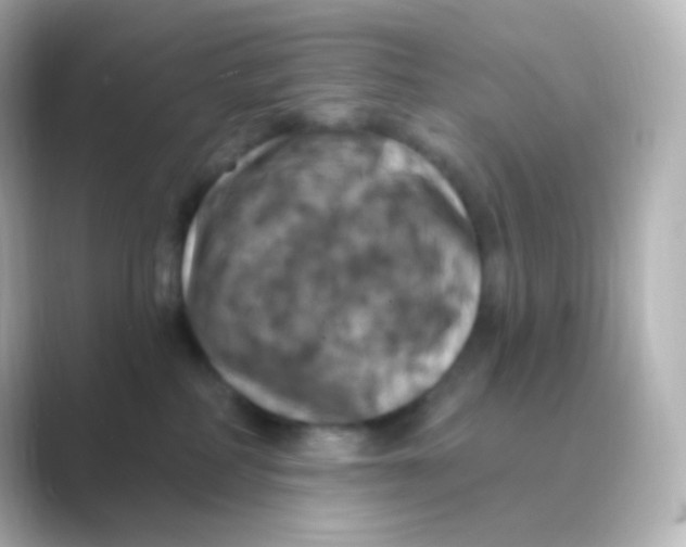 X0000088690234200706211932