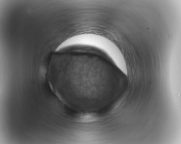 X0000088690235200706211932