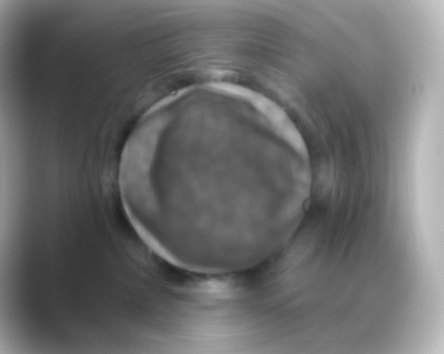 X0000088690236200706211932