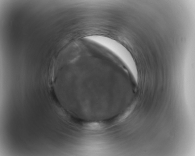 X0000088690237200706211932