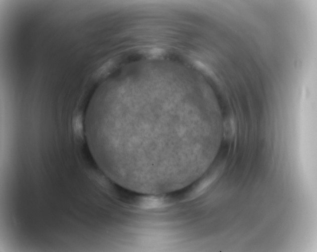 X0000088690238200706211932