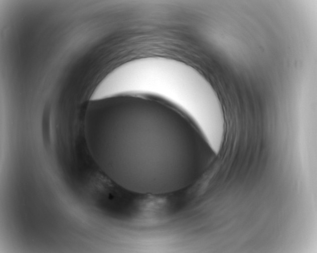 X0000088690239200706211932