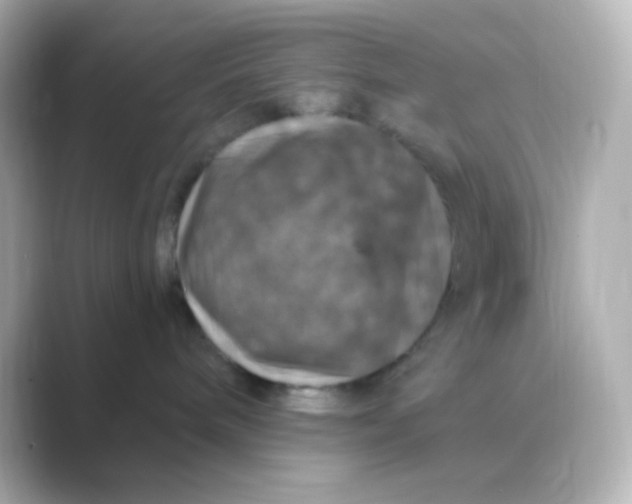 X0000088690240200706211932