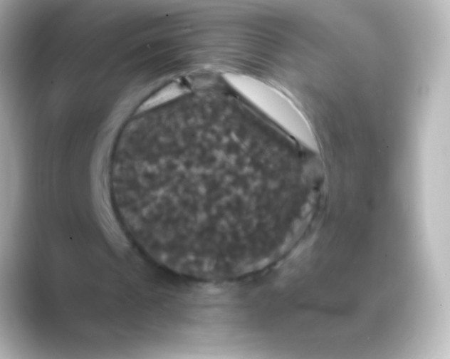 X0000088690241200706211932