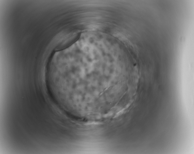 X0000088690242200706211932