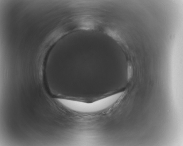 X0000088690243200706211932