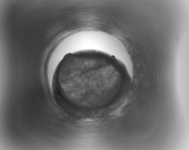 X0000088690244200706211932