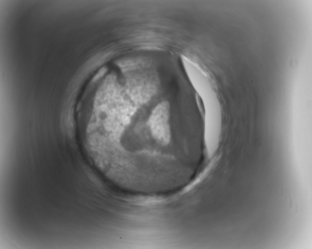 X0000088690245200706211932