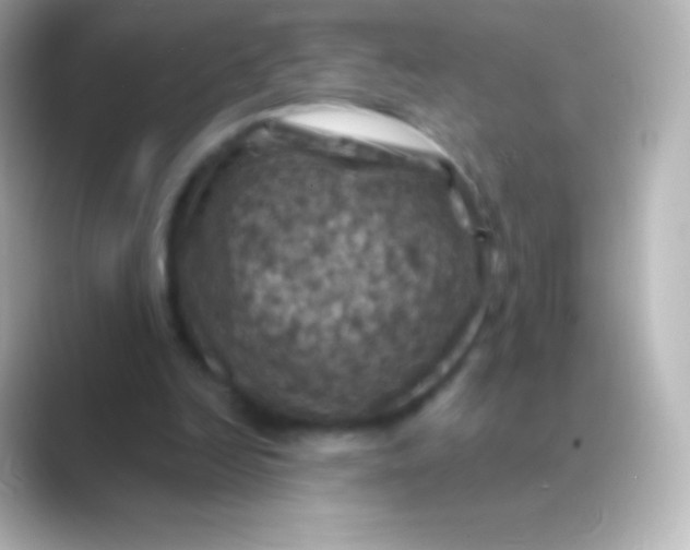 X0000088690246200706211932
