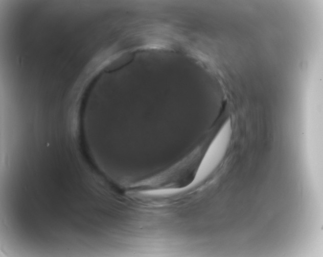 X0000088690247200706211932