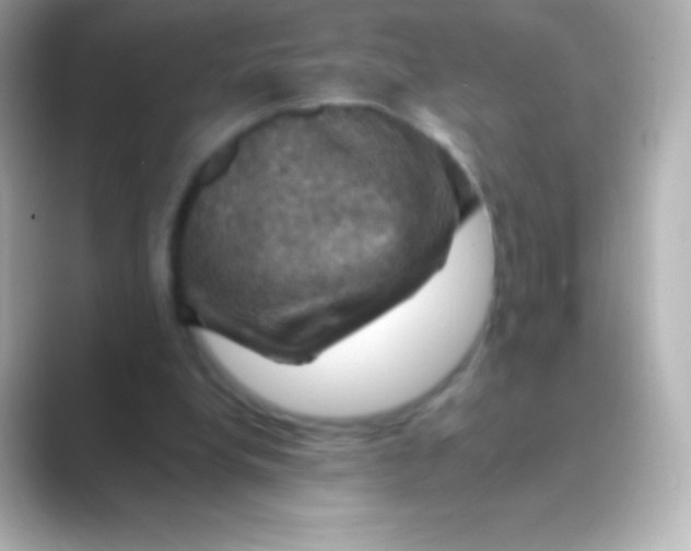 X0000088690248200706211932