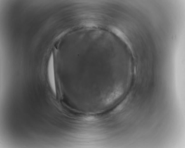 X0000088690249200706211932