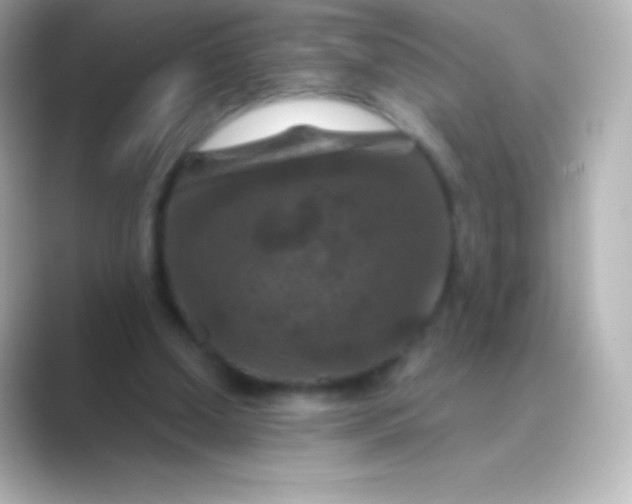 X0000088690250200706211932