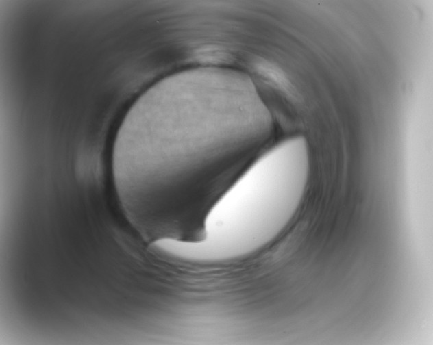 X0000088690252200706211932