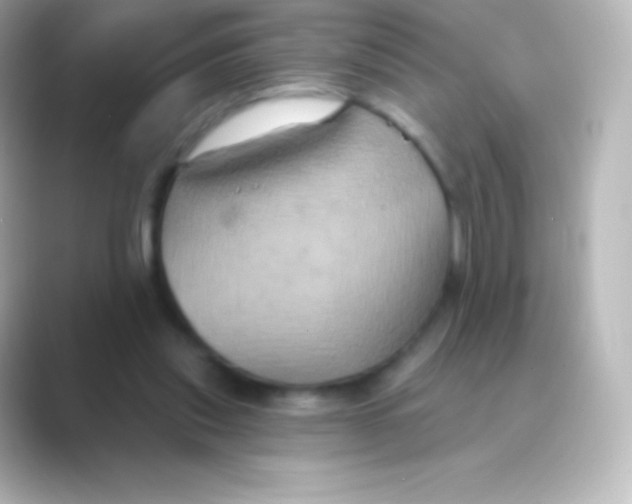 X0000088690253200706211932