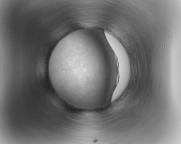 X0000088690255200706211932
