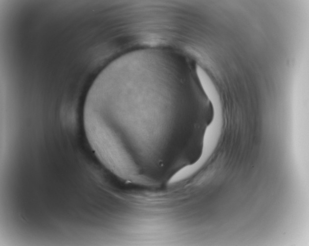 X0000088690256200706211932
