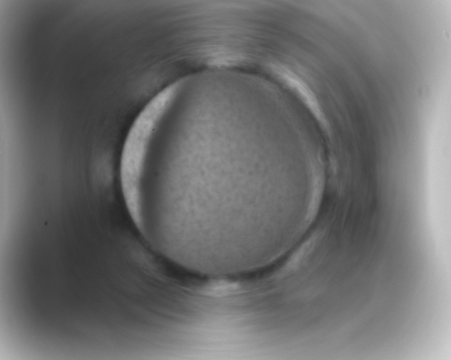 X0000088690257200706211932
