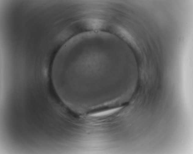X0000088690258200706211932
