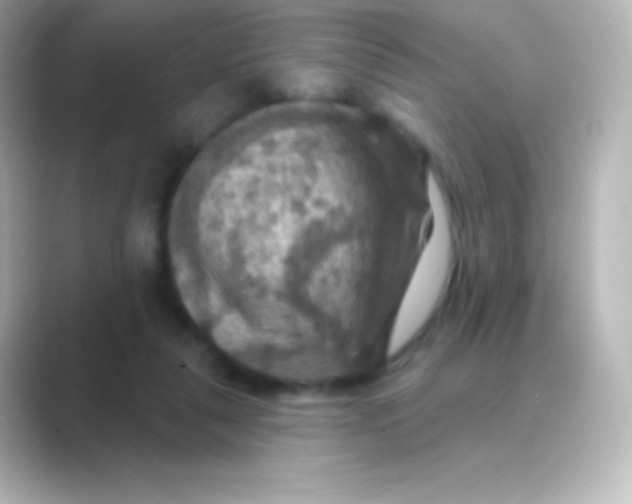 X0000088690259200706211932