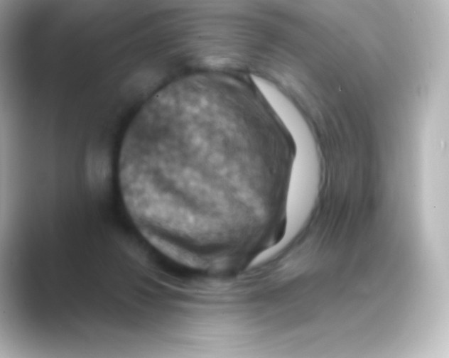 X0000088690260200706211932