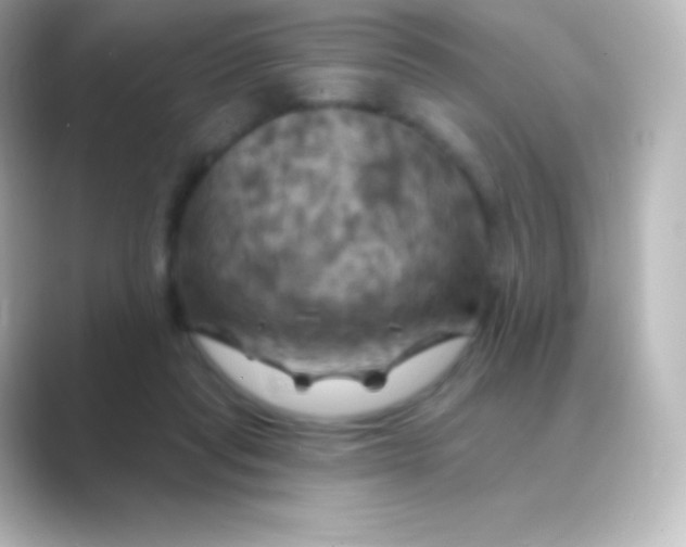 X0000088690261200706211932
