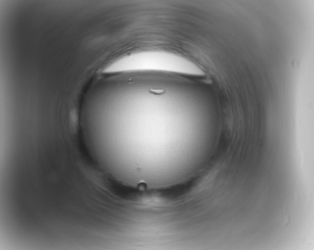 X0000088690262200706211932