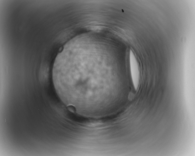 X0000088690263200706211932