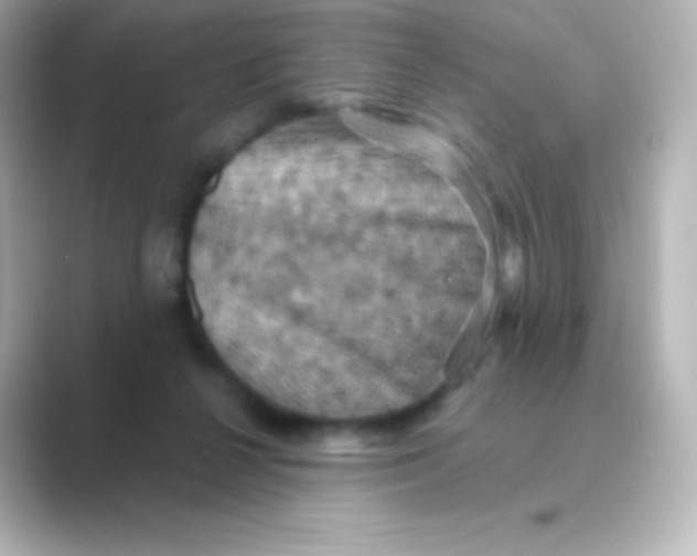 X0000088690264200706211932