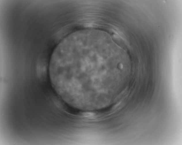 X0000088690265200706211932