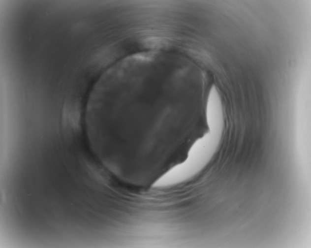 X0000088690266200706211932