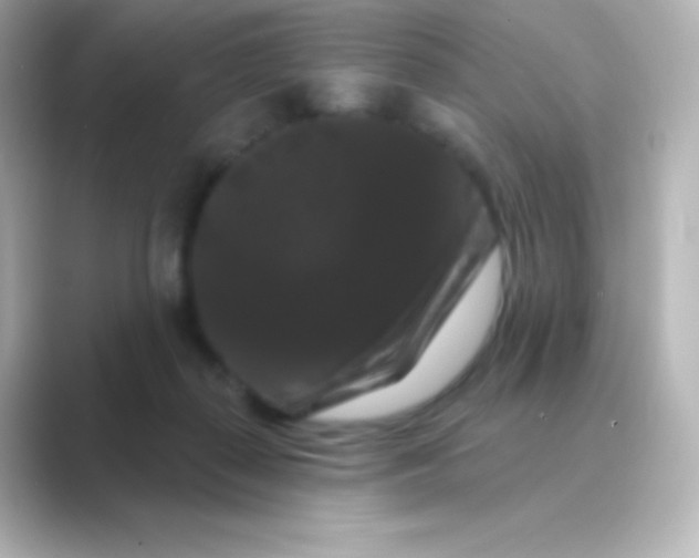 X0000088690267200706211932