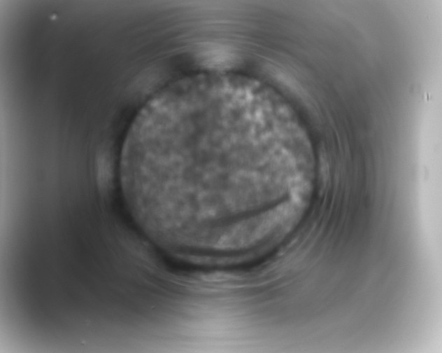 X0000088690268200706211932