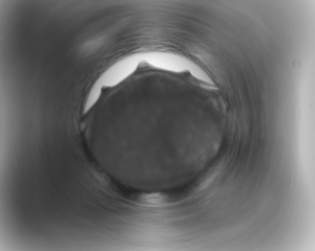 X0000088690269200706211932