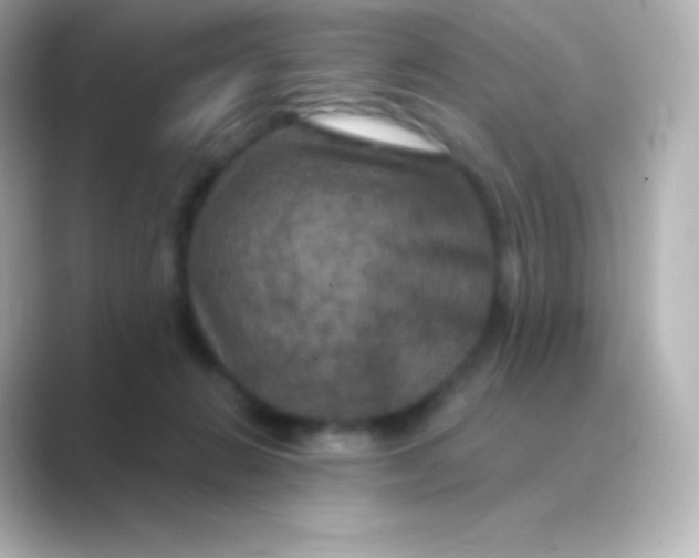 X0000088690270200706211932