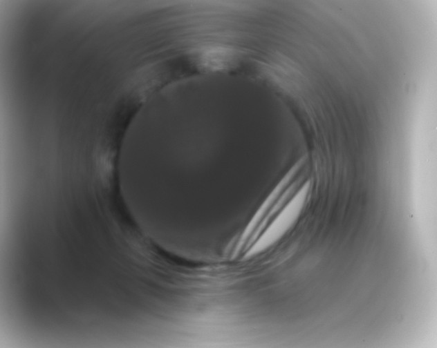 X0000088690271200706211932