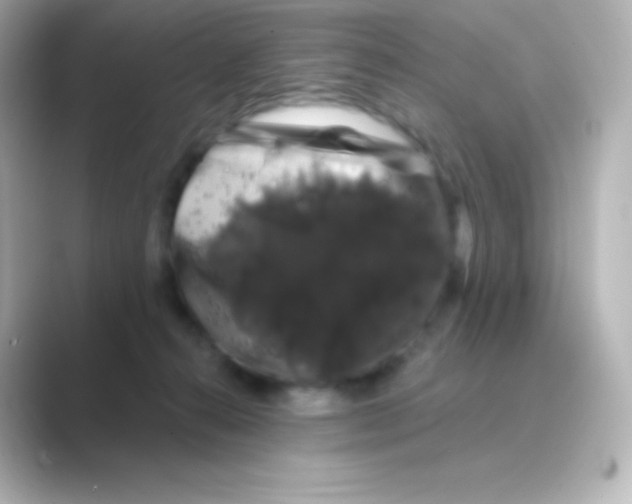 X0000088690272200706211932